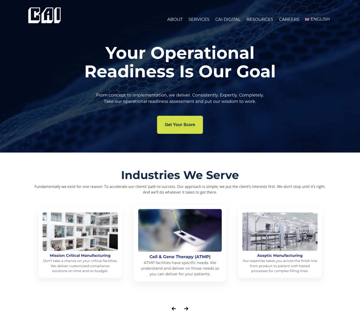 Screenshot of CAI's old website